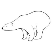 urso polar em esboço de esboço. vetor