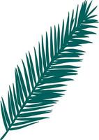 ramo de palma isolado mão desenhada ilustração vetorial. contorno de silhueta de ramo tropical verde deixa viagens de férias vetor