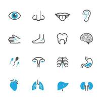 ícones de anatomia humana com fundo branco vetor