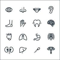 ícones de anatomia humana com fundo branco