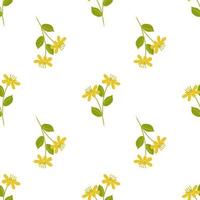 sem costura padrão amarelo com st. flores de plantas de erva de joão. ilustração vetorial botânica. fundo vetorial para impressão em papel ou tecido, decoração de designer vetor