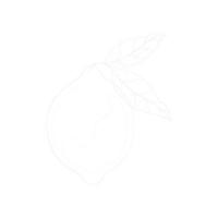 ícone de arte linear de limão em fundo transparente vetor