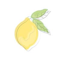 ícone de cor de limão em fundo transparente vetor