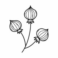 flor doodle em fundo branco. ilustração vetorial com planta. livro de colorir para crianças. projeto de cartão postal. vetor