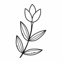 flor doodle em fundo branco. ilustração vetorial com planta. livro de colorir para crianças. projeto de cartão postal. vetor