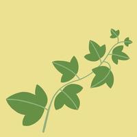 simplicidade ivy desenho à mão livre design plano. vetor