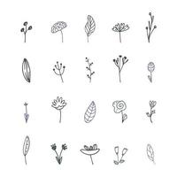 conjunto de plantas estilizadas doodle. ilustração vetorial, desenhada à mão vetor