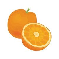 laranja vitamina vetor vegetariano suco de fruta dos desenhos animados elemento bonito temporada de verão sabor mandarim art