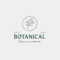 modelo de design de logotipo botânico, azeite, logotipo floral, logotipo feminino, vetor premium de logotipo de beleza