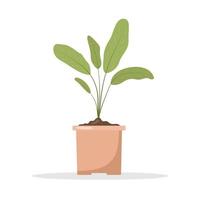 mudas de primavera em vasos. cultivo de plantas de jardinagem. produtos vegetarianos e ecológicos. ilustração vetorial em estilo cartoon plana vetor