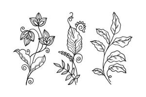 elementos florais de desenho vetorial desenhados à mão. ilustração vetorial. vetor