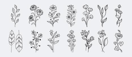 elementos florais de desenho vetorial desenhados à mão. ilustração vetorial. vetor
