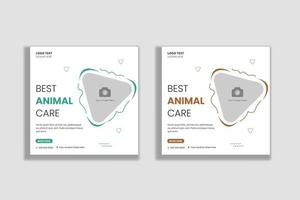 mídia social de cuidados com animais e modelo de banner da web vetor