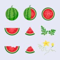 conjunto de vetores de melancia e fatias suculentas, design plano de folhas verdes e ilustração de flor de melancia, conceito de frutas frescas e suculentas de comida de verão.
