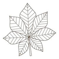 folha de castanha. folha de outono. botânico, elemento de design de plantas com contorno. rabisco, desenhado à mão. projeto plano. ilustração em vetor preto branco. Isolado em um fundo branco.