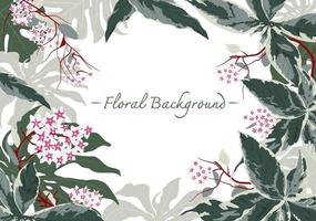 fundo de banner de quadro floral hoya vetor