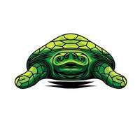 ilustração vetorial, animal tartaruga, verde vetor
