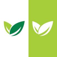 logotipos da ecologia de folhas verdes vetor