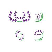 vetor de logotipo de flor de lavanda fresca