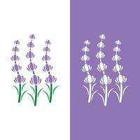 vetor de logotipo de flor de lavanda fresca