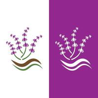 vetor de logotipo de flor de lavanda fresca