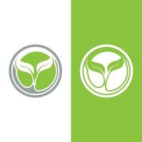 logotipos da ecologia de folhas verdes vetor