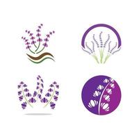 vetor de logotipo de flor de lavanda fresca