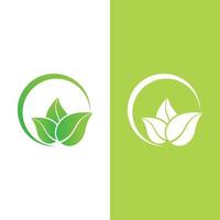 logotipos da ecologia de folhas verdes vetor