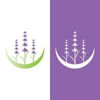 vetor de logotipo de flor de lavanda fresca