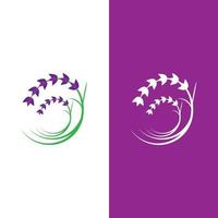 vetor de logotipo de flor de lavanda fresca