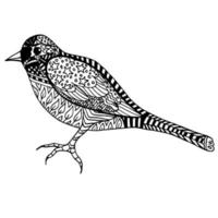 imagem para colorir preto e branco com lindo pássaro. arte zen. imagem vetorial. vetor