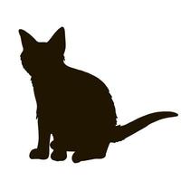 silhueta preta de um gato em fundo branco. imagem vetorial. vetor