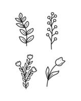 um conjunto de plantas de campo, grama de prado e flores tulipas papoulas. ilustração vetorial doodle. vetor