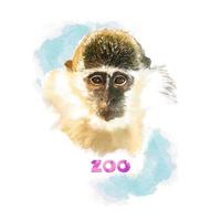 macaco zoológico em estilo aquarela vetor