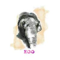 elefante do zoológico em estilo aquarela vetor