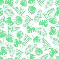 conjunto de folha de palmeira verde padrão sem emenda. ilustração vetorial plantas tropicais vetor