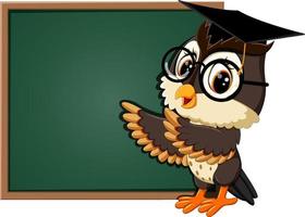 ilustração de professor de coruja no quadro-negro vetor