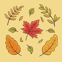 coleção de folhas de outono desenhadas à mão-1 vetor