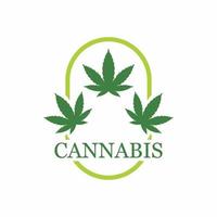 maconha, emblema de cannabis e modelo gráfico de logotipo vetor