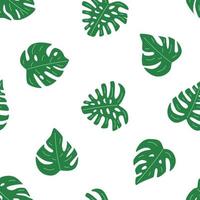 sem costura padrão de folhas de monstera. papel de parede de fundo de uma planta tropical em estilo simples vetor