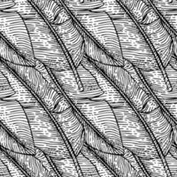 padrão sem emenda de gravura de folha de bananeira. folhas tropicais monocromáticas retrô em estilo desenhado à mão. vetor