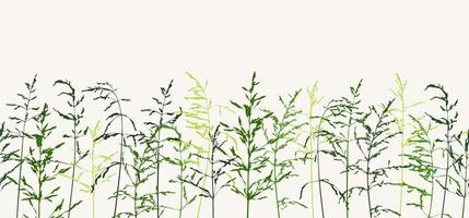 borda horizontal perfeita com silhuetas finas delicadas verdes de ervas selvagens secas. fundo de grama selvagem simples. silhueta de prado em linha sobre fundo claro. vetor