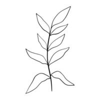 doodle folha desenhada à mão. planta desenhada à mão em estilo doodle. ilustração botânica. vetor