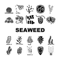 conjunto de ícones de plantas subaquáticas de algas marinhas vetor