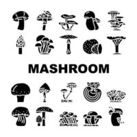 vetor de conjunto de ícones de cogumelos vegetais e fungos