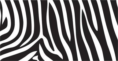 fundo de papel de parede padrão zebra vetor