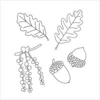 conjunto de vetores de elementos de linha carvalho isolados no fundo branco. ilustração botânica de folha de carvalho, brunch, flores, bolotas, ament. clipart preto e branco