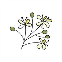 vetor linha elemento de árvore de tília isolado no fundo branco. ilustração botânica de flores de tília. clipart preto e branco.