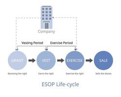 O ciclo de vida do esop é o processo do plano de propriedade de ações dos funcionários desde a concessão até a venda vetor