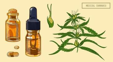 ramo de maconha medicinal cannabis e frascos, ilustração desenhada à mão em estilo retrô vetor